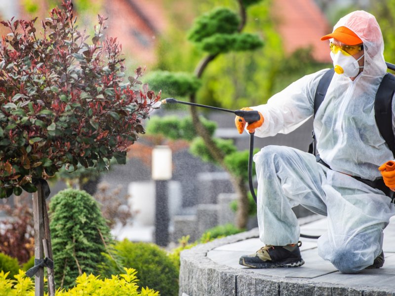 Güzelyalı Haşere İlaçlama