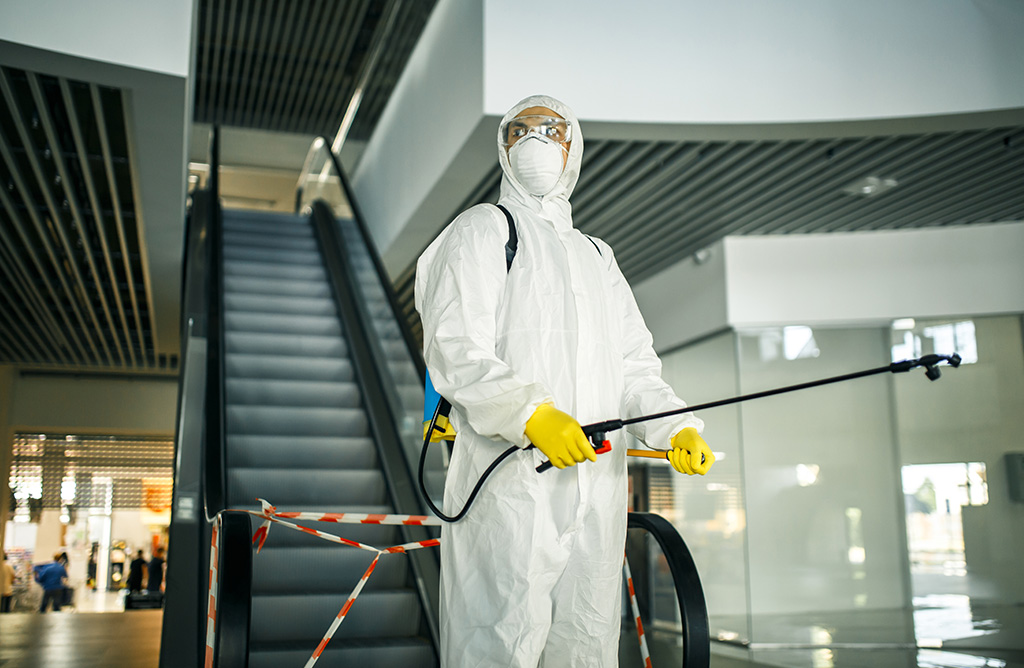 Güzelyalı Haşere İlaçlama